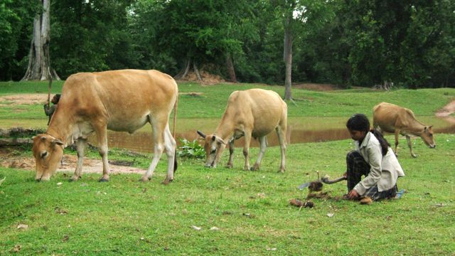 Cambodge©Rozenn_Milin Cambodge par Rozenn Milin