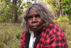 Maggie Tukumba, member of the Weemol community, co-author of the first Dalabon dictionary.  Credits: Matthieu Rabusseau.